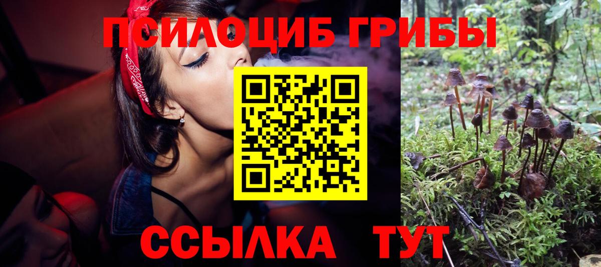 Михайловка  Псилоцибиновые грибы GOLDEN TEACHER  Вход с VPN 