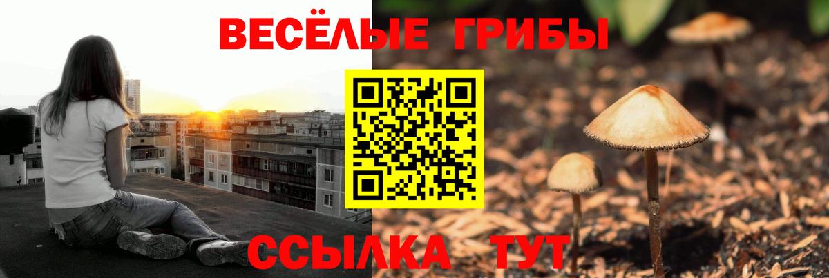 Гашиш  ГАШ  Мефедрон кристаллы  Вход с VPN  Михайловка  Меф МЯУ МЯУ  АМФЕТАМИН кристаллы  ЭКСТАЗИ 